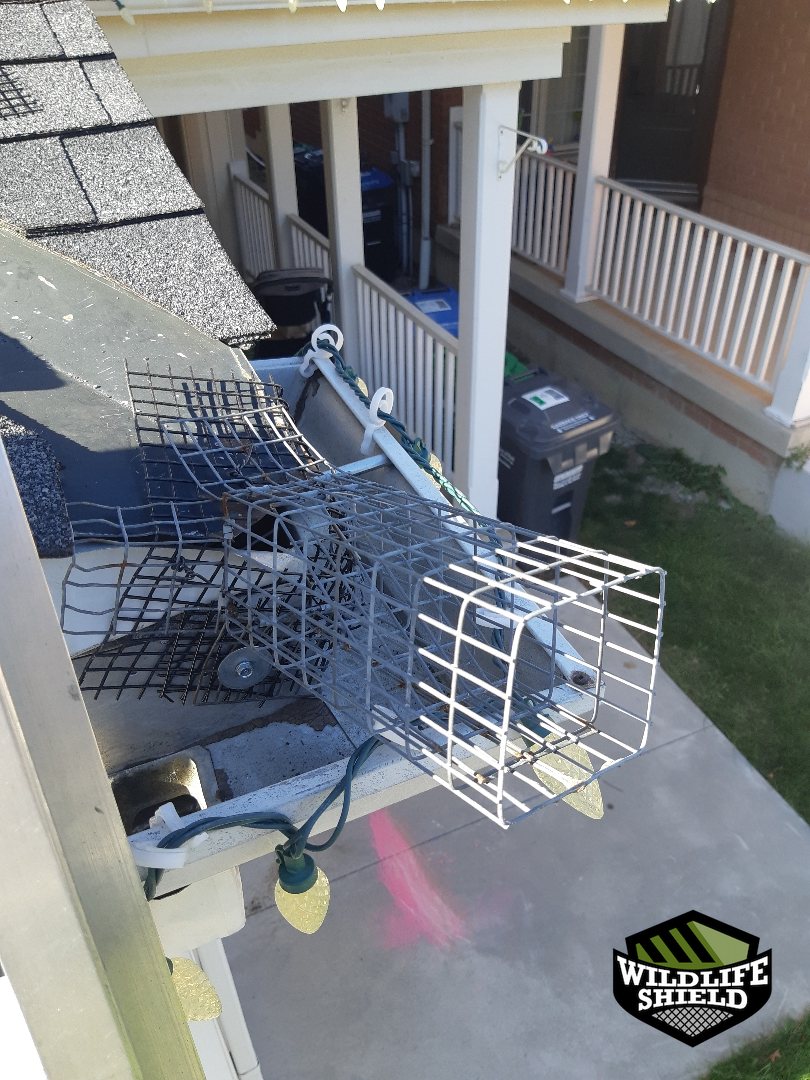 mississauga chimney screening install 06