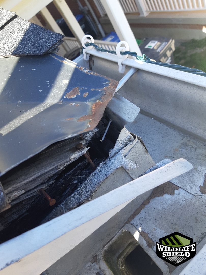 mississauga chimney structural damage before 05