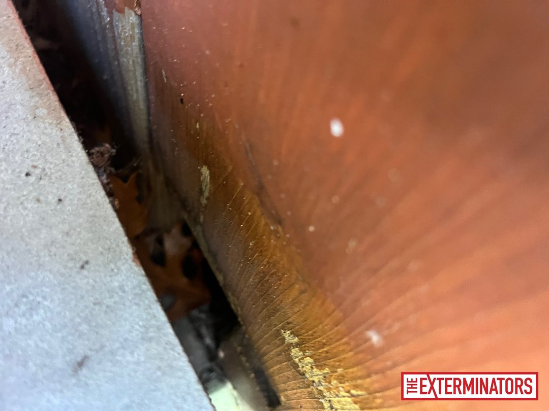 mississauga exterior gap opening inspection 08