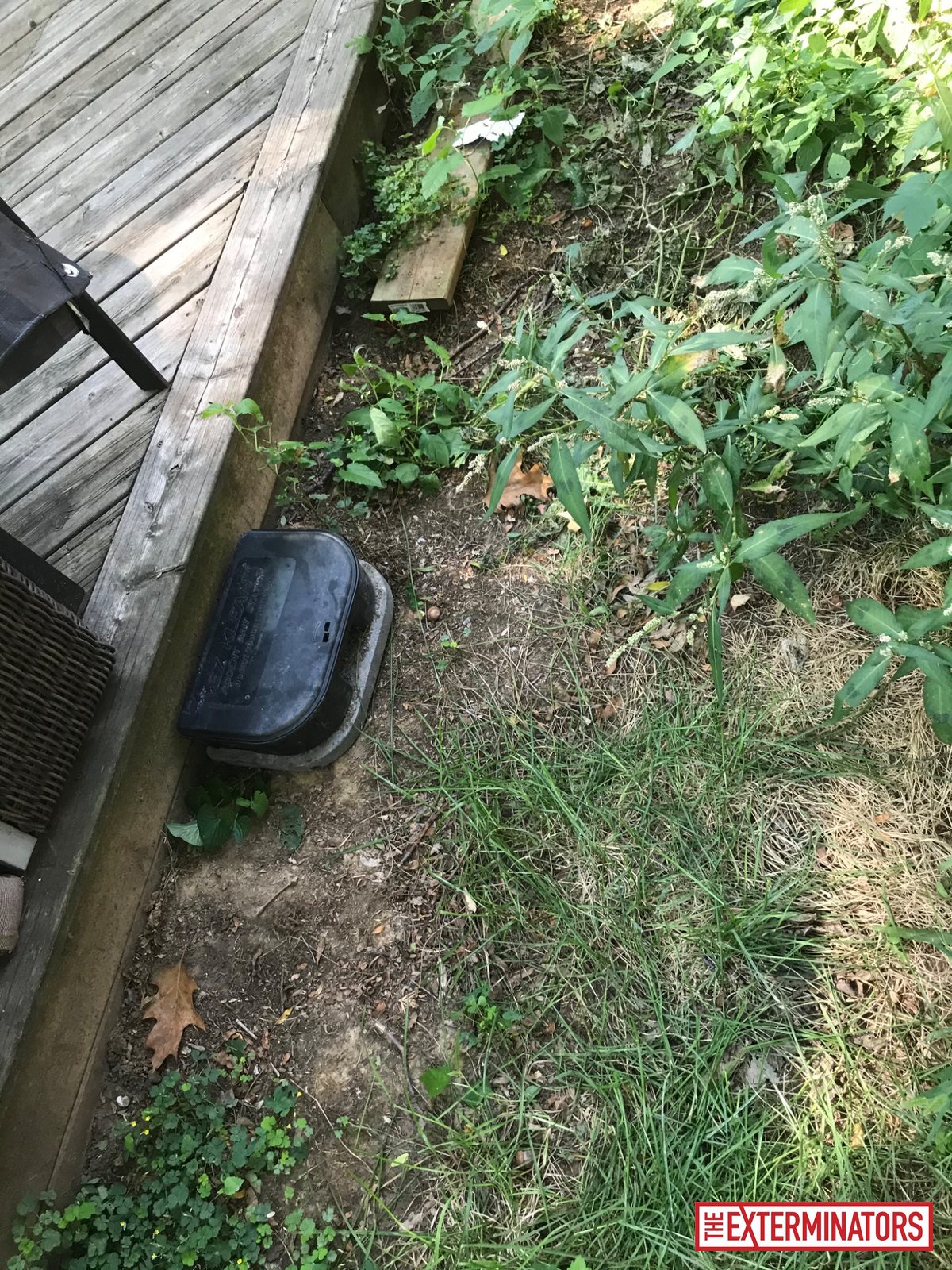 mississauga exterior trap setup inspection 09