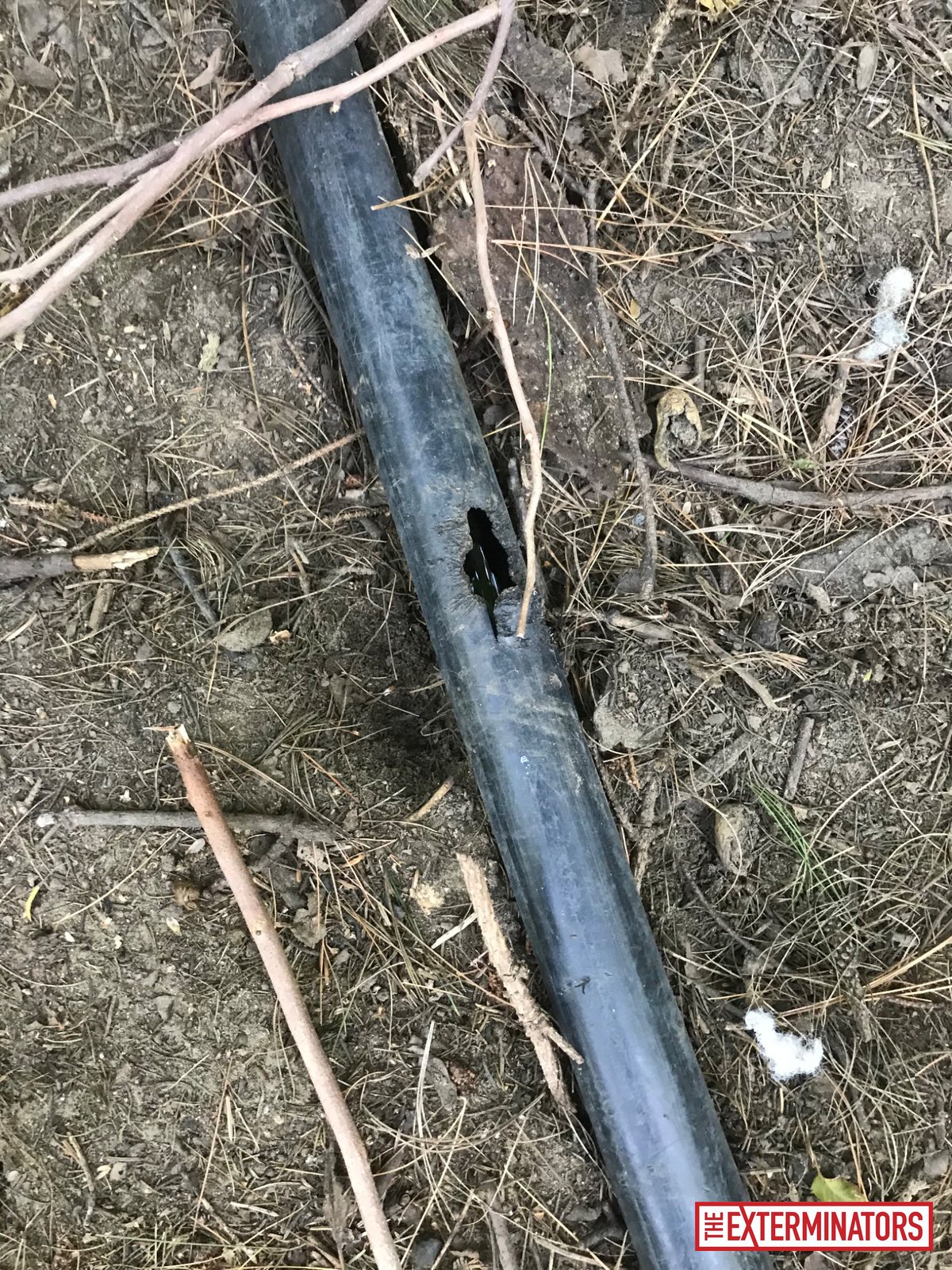 mississauga exterior trap setup install 08