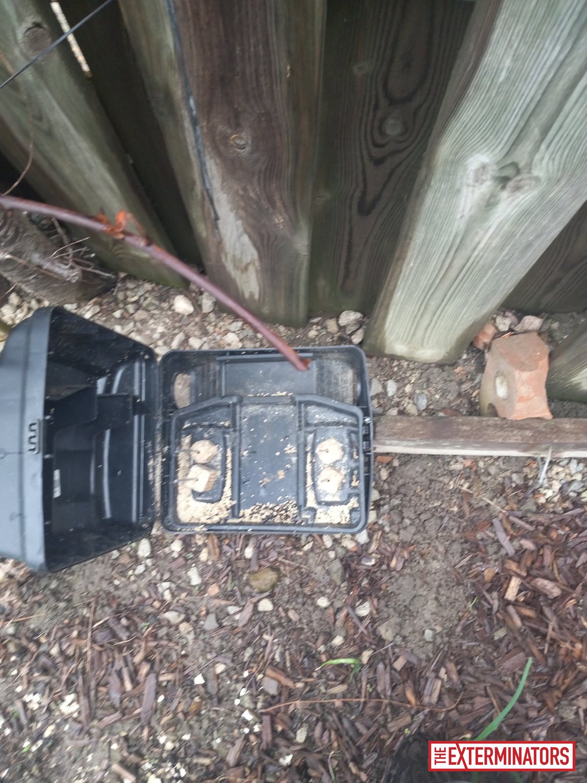 mississauga exterior trap setup monitoring 01