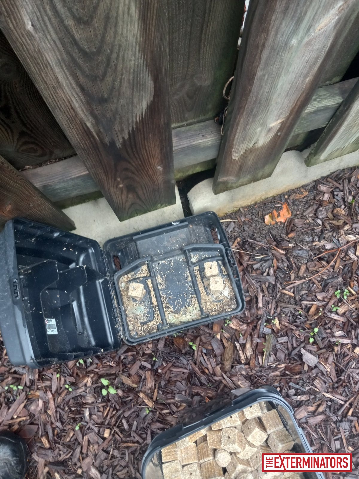 mississauga exterior trap setup monitoring 02