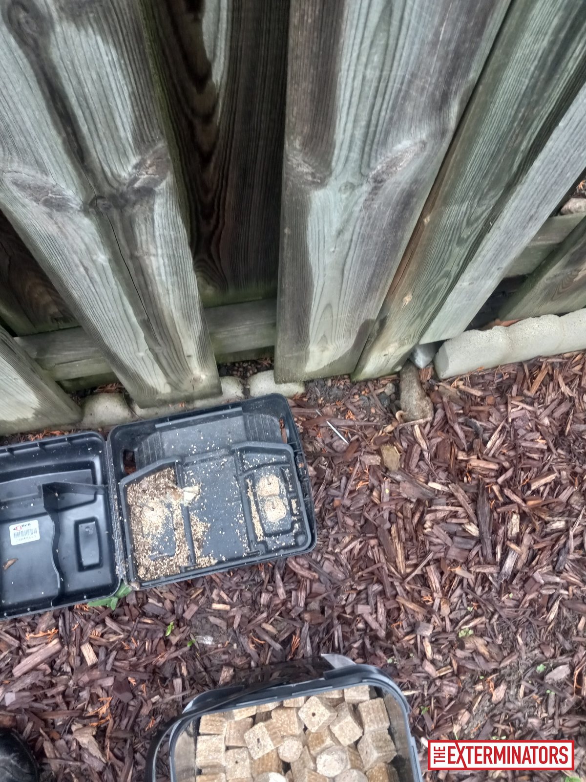 mississauga exterior trap setup monitoring 04