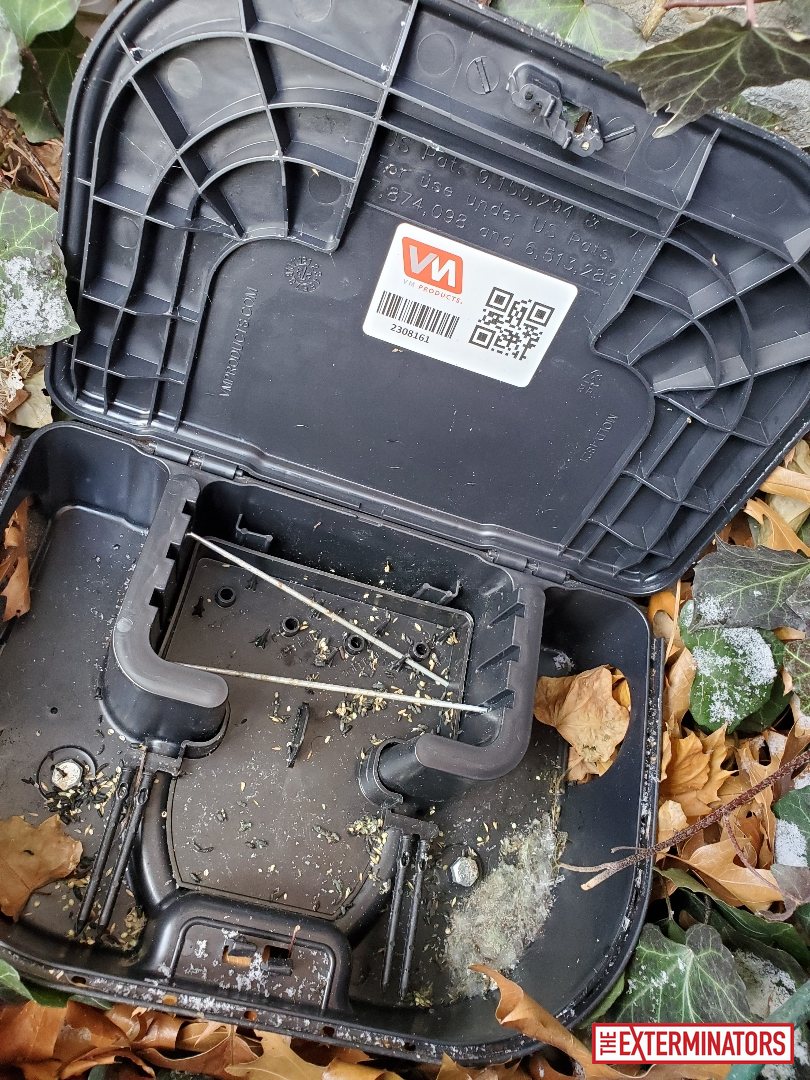 mississauga exterior trap setup monitoring 05