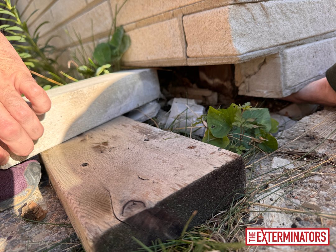 mississauga foundation gap opening inspection 02