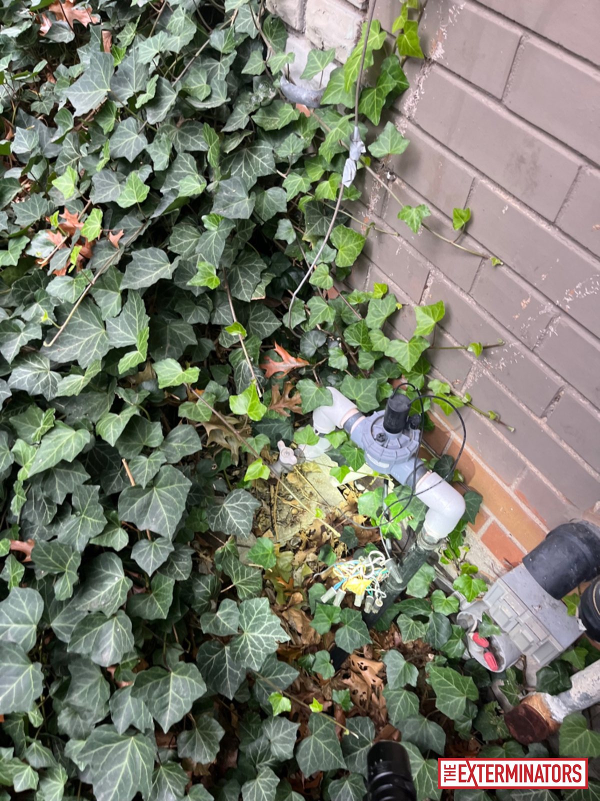 mississauga foundation plumbing vent inspection 04