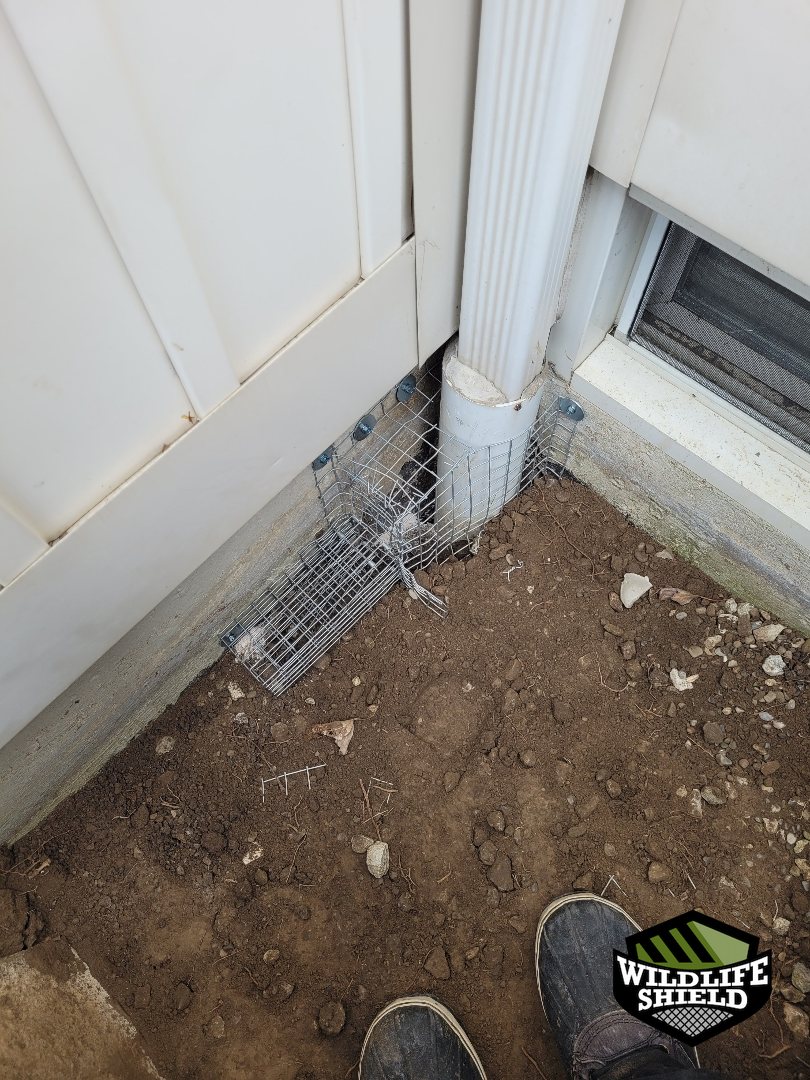 mississauga foundation screening install 01