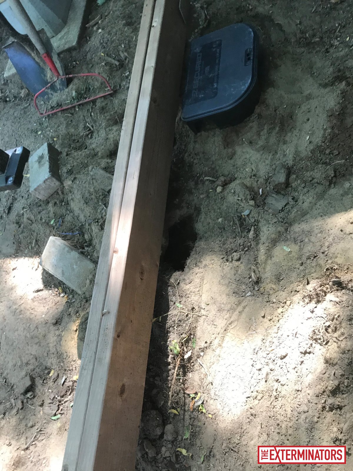 mississauga foundation trap setup install 04