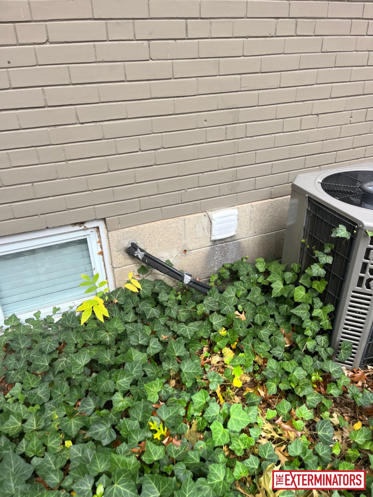 mississauga foundation wall vent inspection 02