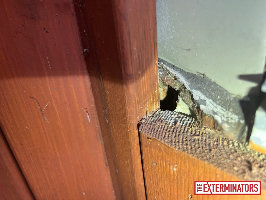 mississauga interior gap opening inspection 03