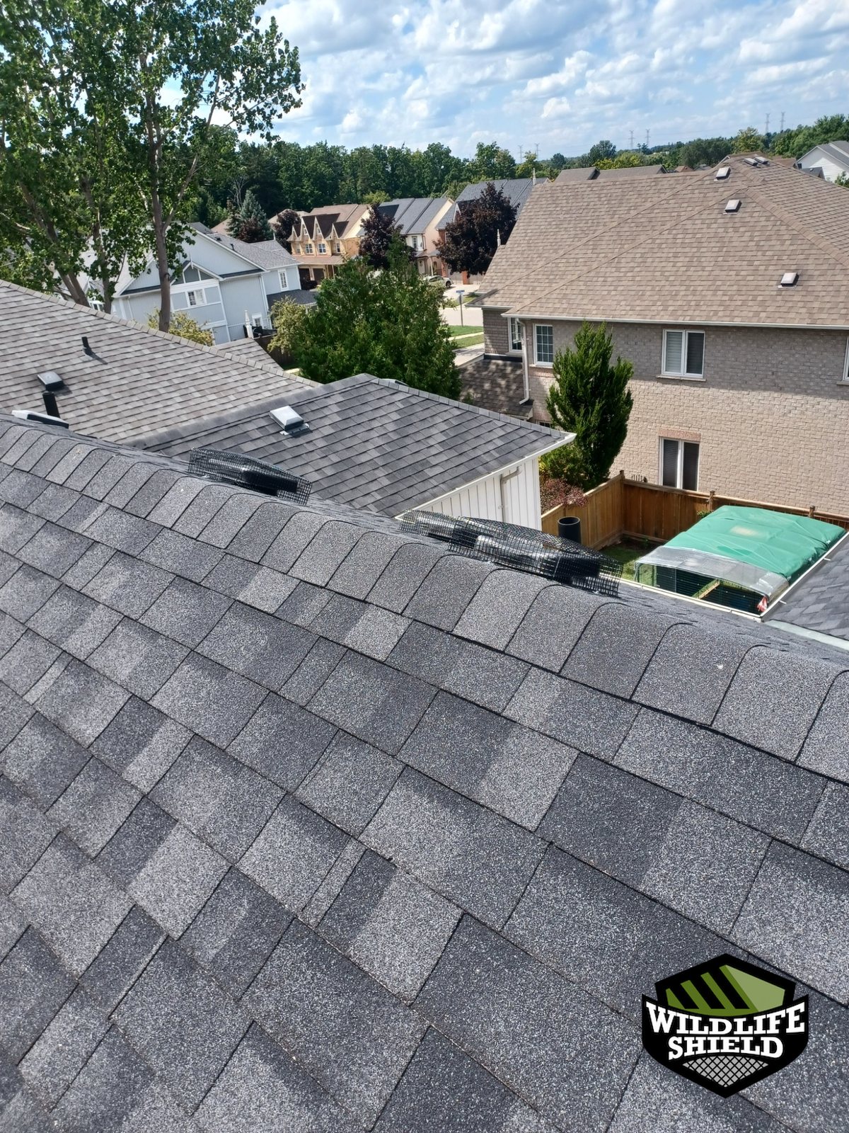 mississauga roof overview after 03