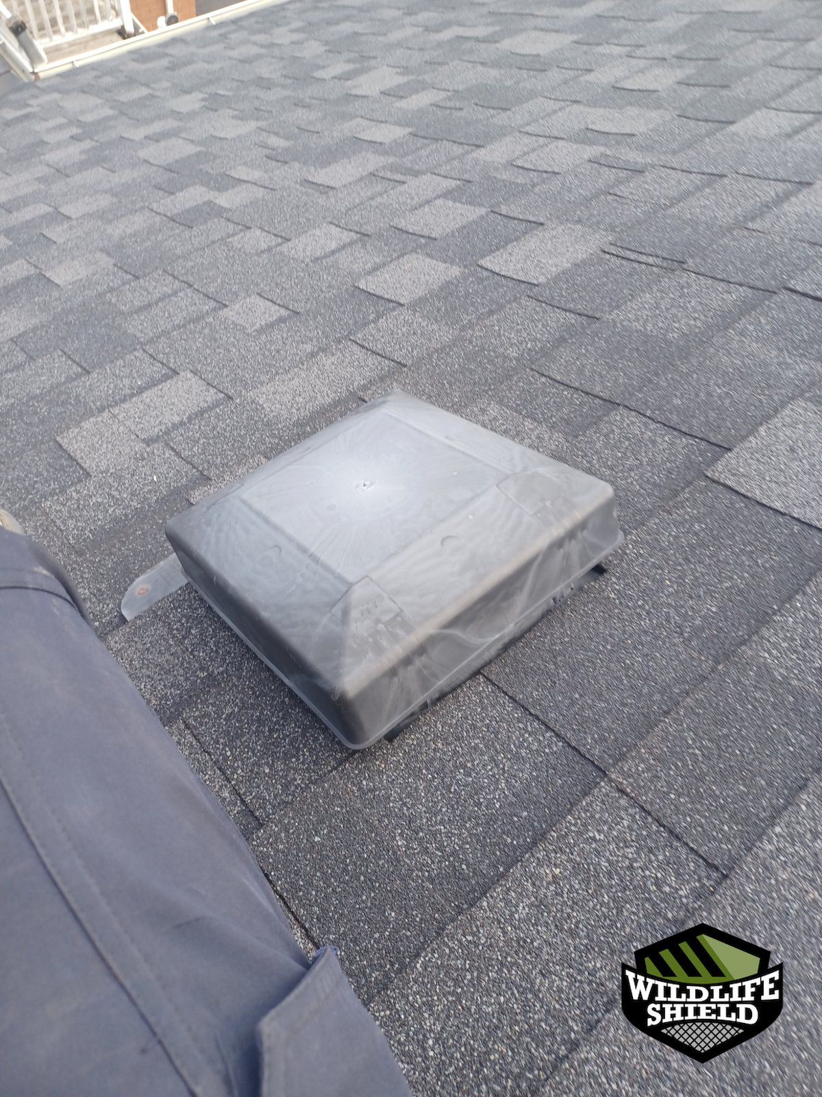 mississauga roof roof vent install 01