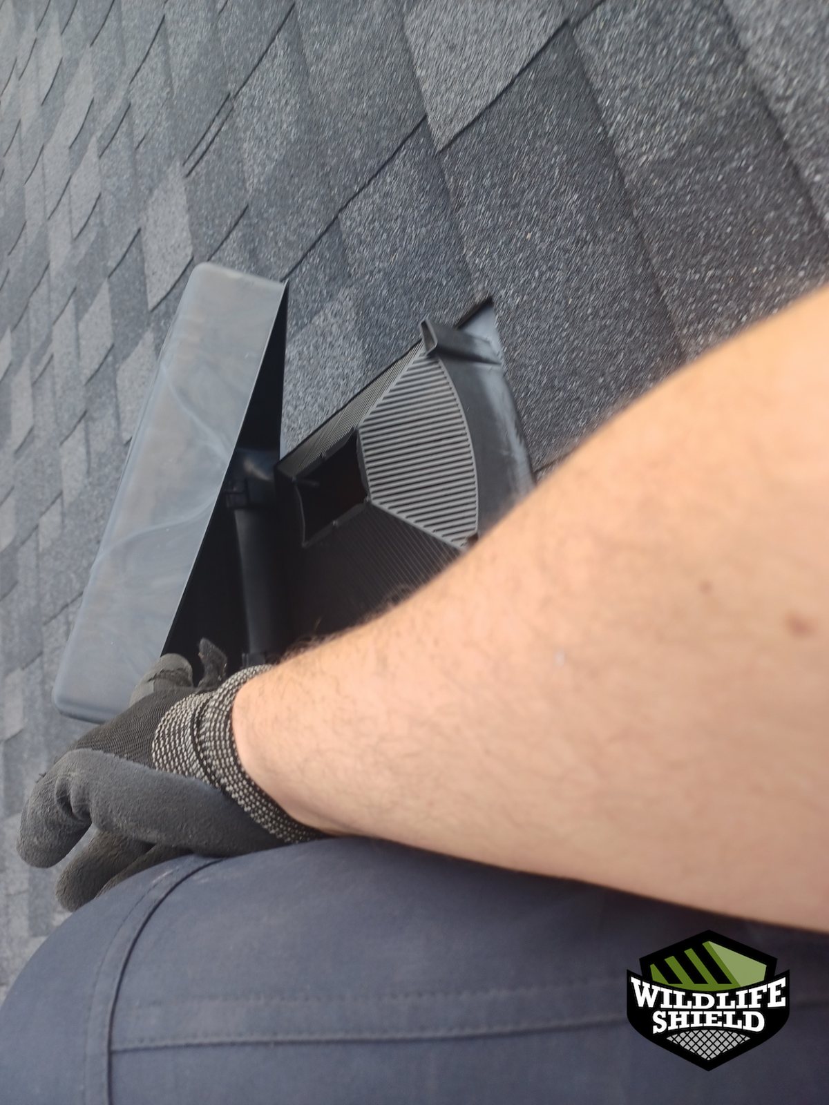 mississauga roof roof vent install 02