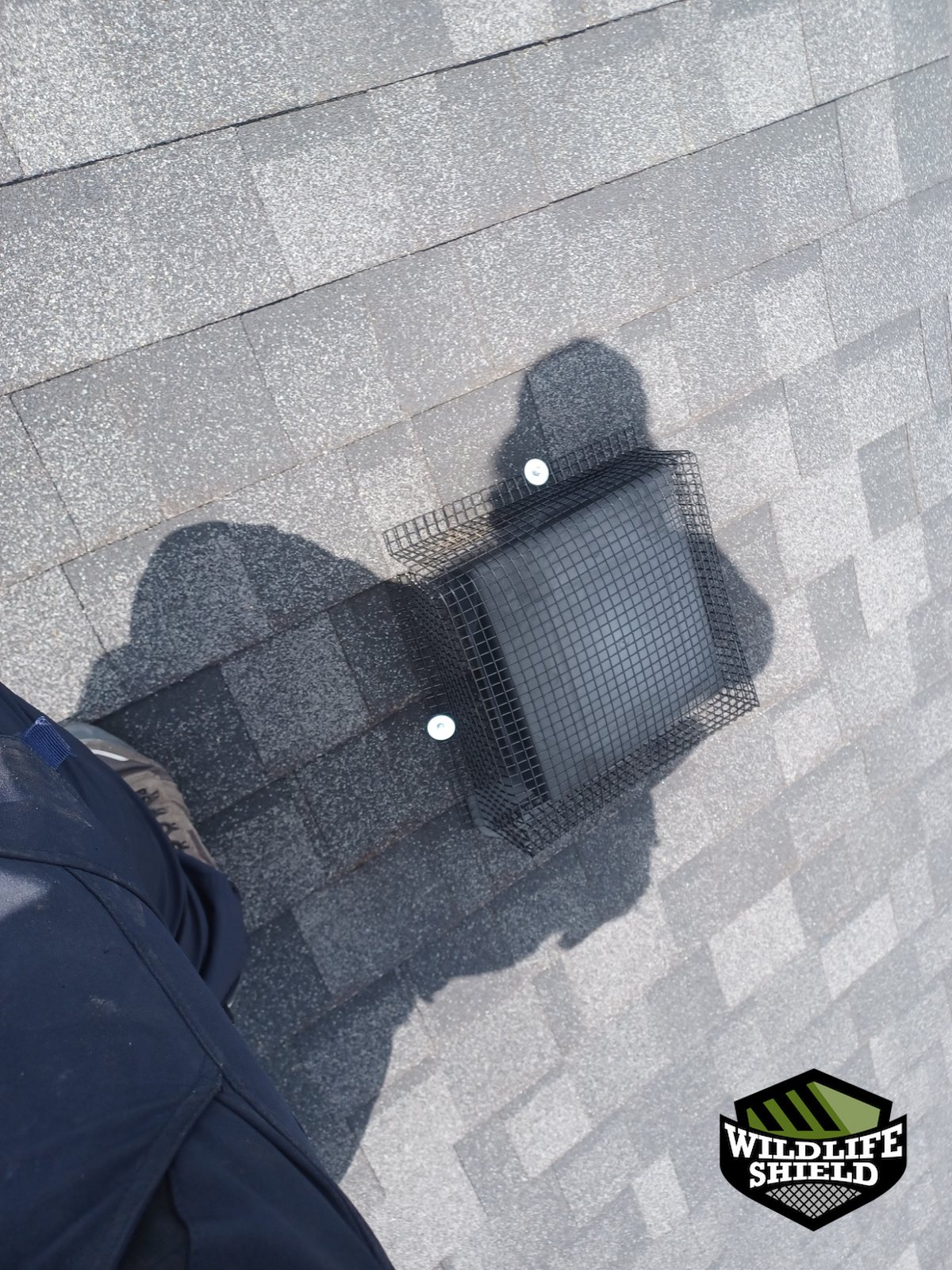mississauga roof roof vent install 04