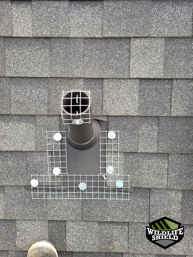 mississauga roof vent screening install 02