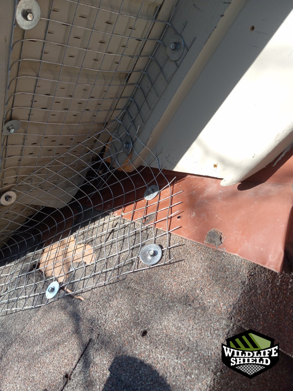 mississauga soffit screening install 03