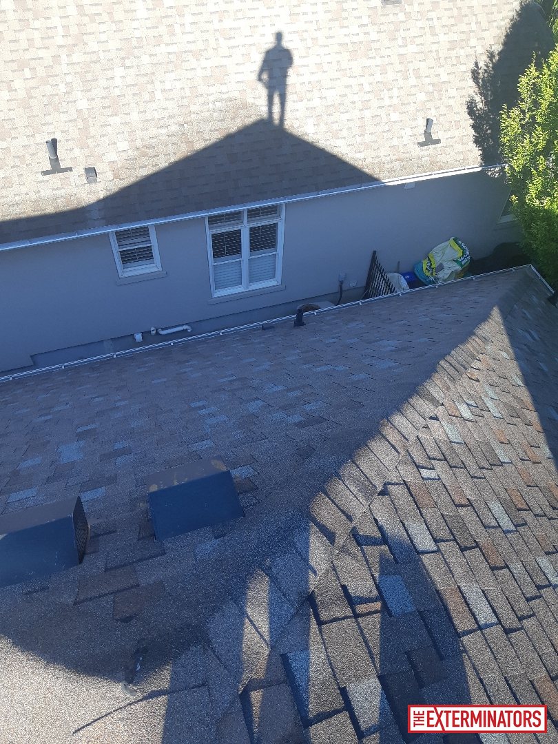 mississauga unknown overview unknown 01