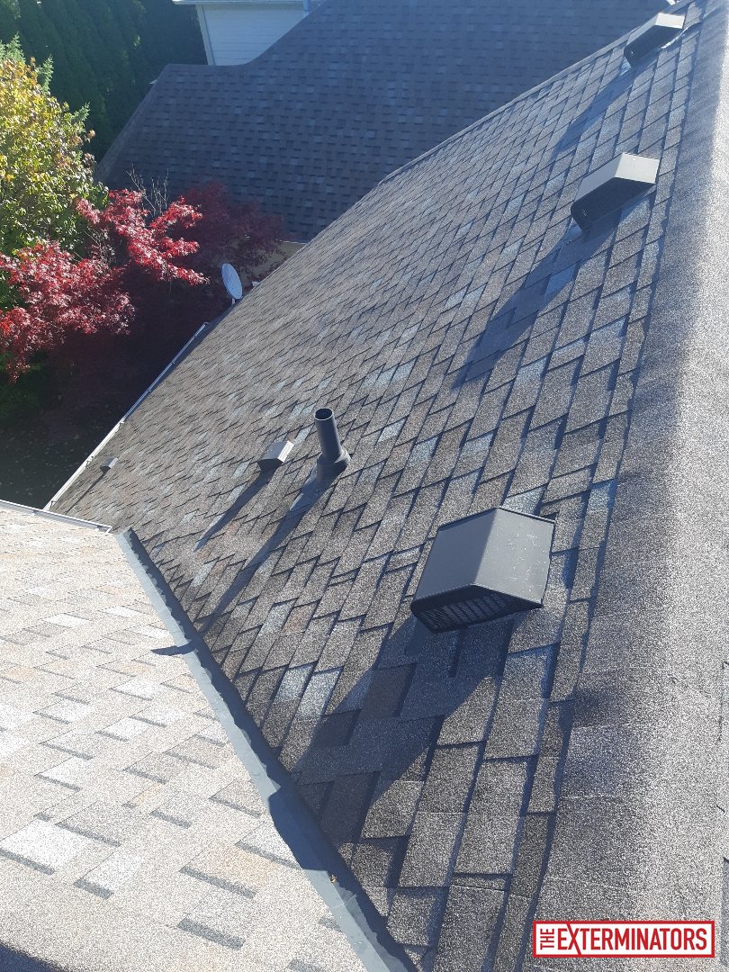 mississauga unknown overview unknown 02