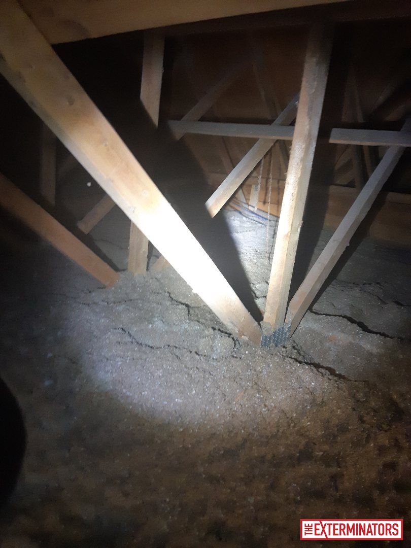 mississauga unknown overview unknown 03