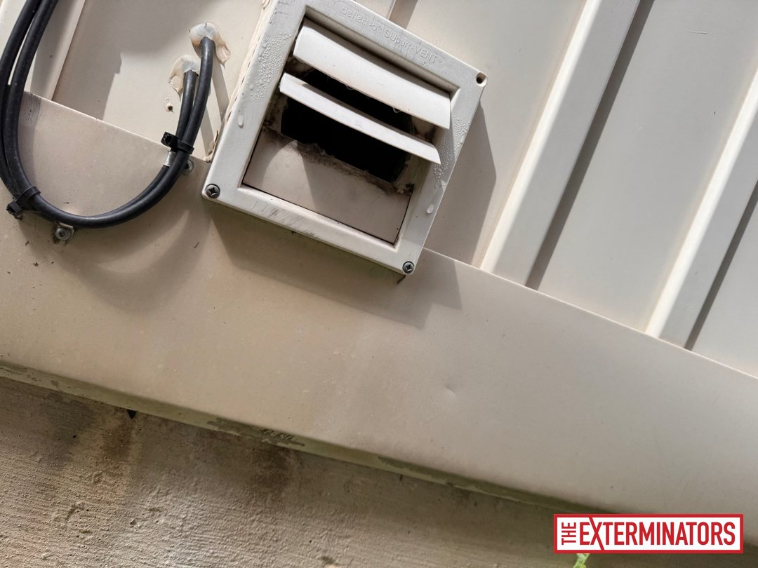 mississauga wall vent entry point before 03