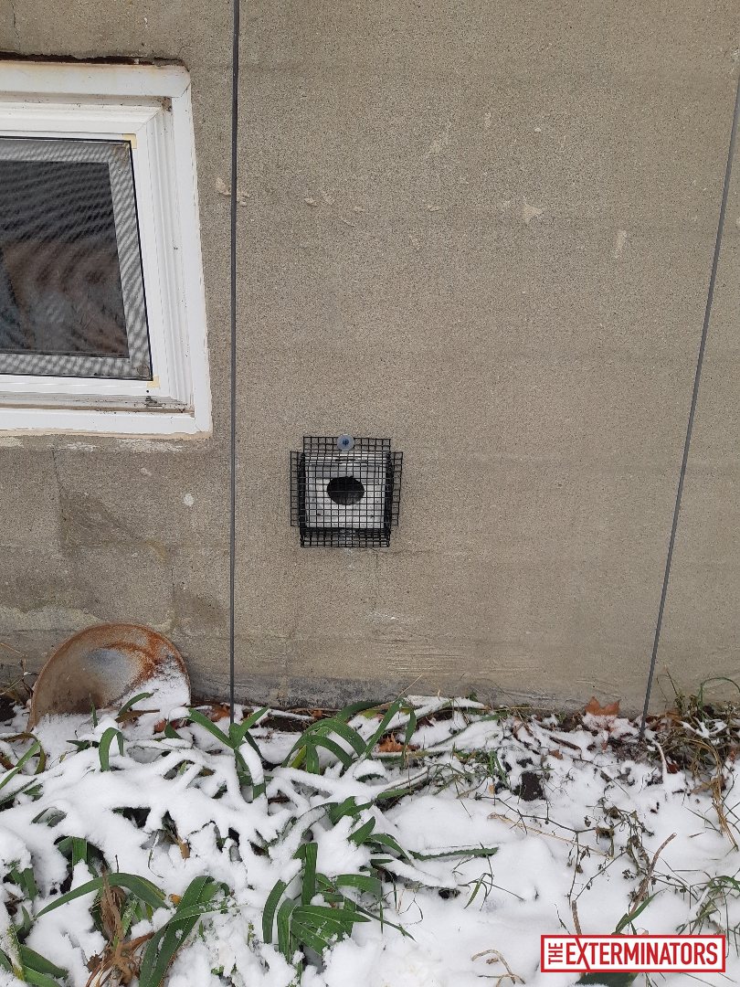 mississauga wall vent exclusion ,mesh install 08