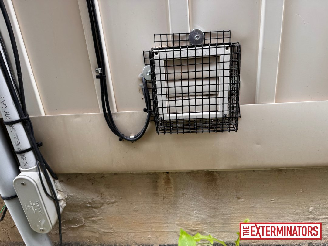 mississauga wall vent screening after 01